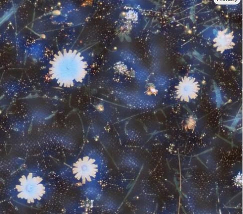 May include: Abstract floral pattern featuring light blue and white flowers against a dark blue background. The design includes delicate stems and small, scattered white dots, creating a dreamy, artistic effect.