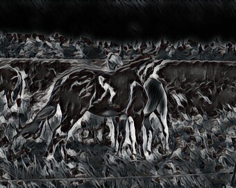 Horse Photo Art  Wall Art Digital Download Black and White Pasture