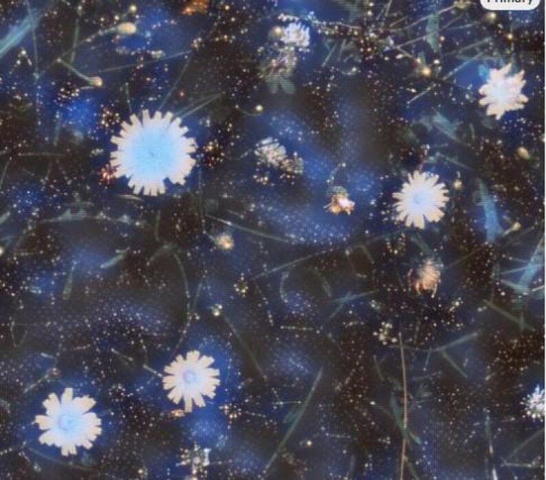 May include: Abstract floral pattern featuring light blue and white flowers against a dark blue background. The design includes delicate stems and small, scattered white dots, creating a dreamy, artistic effect.