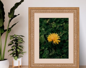 Fotografía artística de diente de león amarillo: descarga digital, impresión de naturaleza, arte mural floral