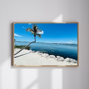 Tropical Palm Tree Beach Print: Coastal Island Photography (Digital Download)