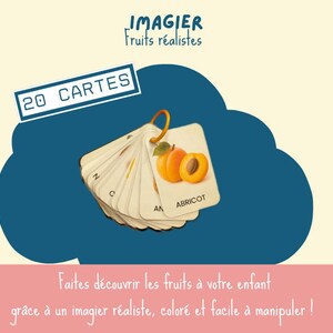 Imagier FRUITS réalistes - 20 cartes plastifiées