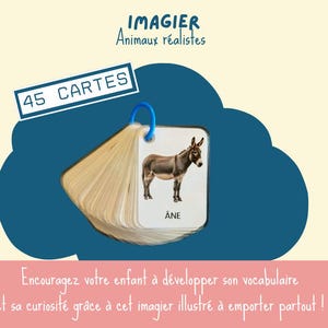 Imagier ANIMAUX réalistes - 45 cartes plastifiées avec anneau