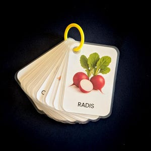 Gemüse-Bilderbuch - 25 laminierte Karten mit Ring
