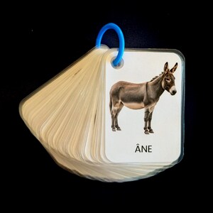 Imagier ANIMAUX réalistes - 45 cartes plastifiées avec anneau