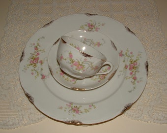 10 Piece Set - "June Bride",  4 Dinner Plates, 4 B and B Plates, Sugar, Creamer- Warwick China