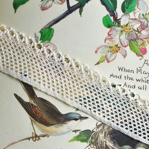 May include: A close-up of a vintage book page featuring a delicate, cream-colored lace trim. The page has illustrations of a bird, flowers, and handwritten text. The text includes the words "And after Apr" and "When May follows".