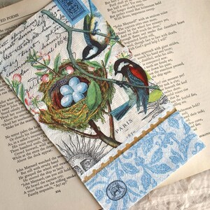 May include: A decorative paper napkin featuring a bird nest with four light blue eggs, two birds perched on branches, cursive script, and the word PARIS printed on the surface. The lower section displays a blue and white floral pattern border.