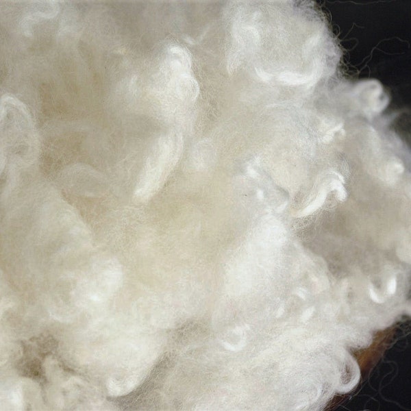 Border Leicester, Blending Fiber, Home Processed, Cleaned Combed & Flicked, Ready for Dying Blending Spinning Creating
