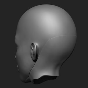May include: A gray, three-dimensional model of a human head, viewed in profile. The model is smooth and featureless, with a defined ear and the suggestion of facial features. The background is a solid, dark gray.
