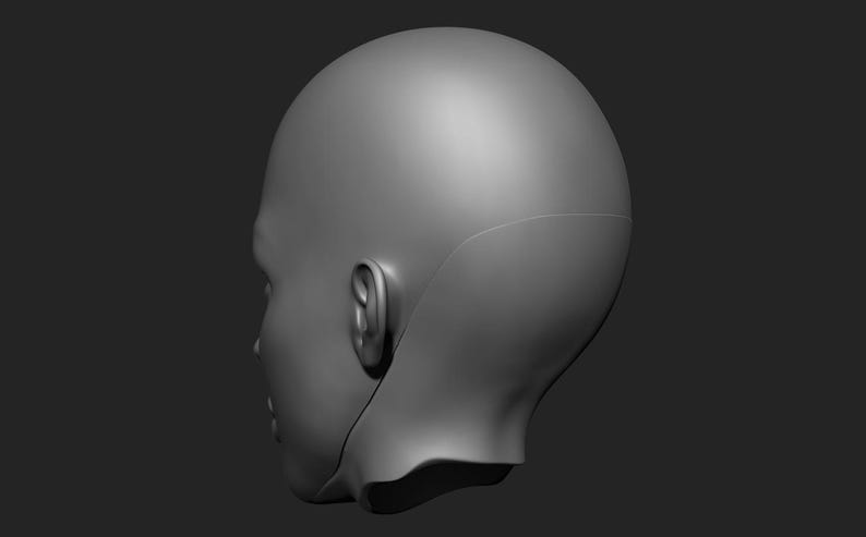 May include: A gray, three-dimensional model of a human head, viewed in profile. The model is smooth and featureless, with a defined ear and the suggestion of facial features. The background is a solid, dark gray.