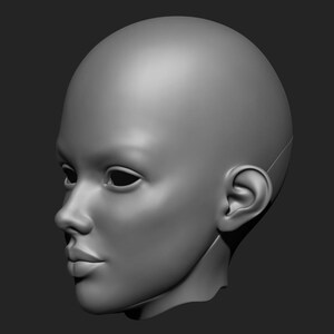 May include: A 3D-rendered, grayscale model of a human head, viewed in profile. The model has smooth skin, defined facial features, and a bald head. The background is a solid, dark gray.