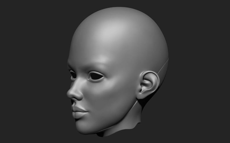 May include: A 3D-rendered, grayscale model of a human head, viewed in profile. The model has smooth skin, defined facial features, and a bald head. The background is a solid, dark gray.