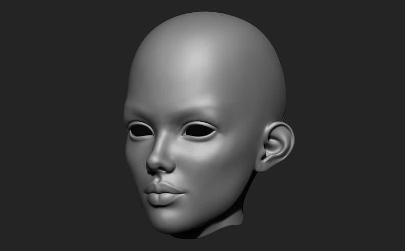 May include: A 3D-rendered, gray-toned human face model. The model features a smooth, hairless head, defined facial features including a nose, lips, and ears, and empty eye sockets. The face is set against a dark gray background.