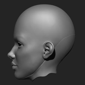 May include: A grayscale 3D model of a human head in profile. The model shows the side view of a face, including the ear, nose, lips, and eye. The head is smooth and appears to be made of a solid material.