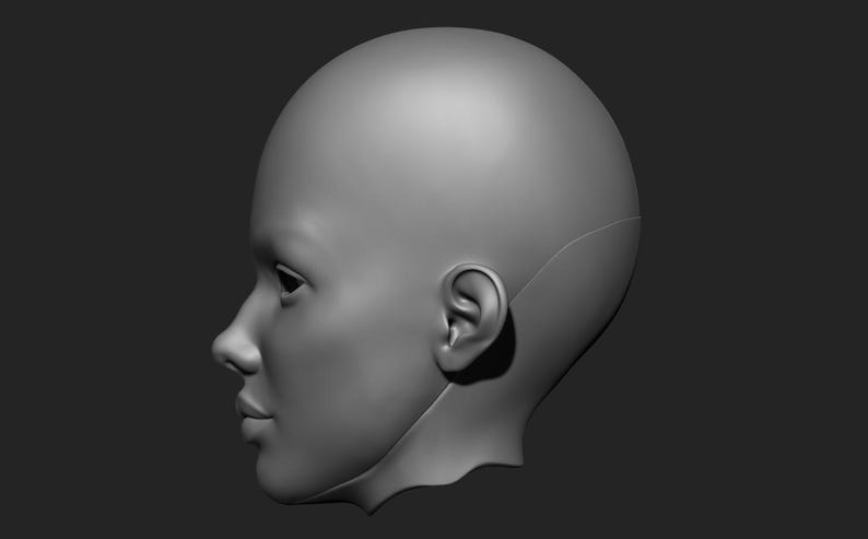 May include: A grayscale 3D model of a human head in profile. The model shows the side view of a face, including the ear, nose, lips, and eye. The head is smooth and appears to be made of a solid material.