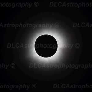 Great American Solar Eclipse of 2024 (Corona) - Free Shipping