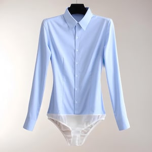 Chic Blue Button-Down Shirt, Fitted Long Sleeve Blouse, Elegant Workwear Top, Office Fashion, Classic Formal Shirt