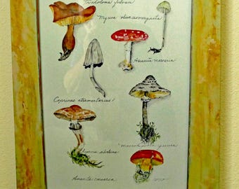 Pintura original de acuarela impresa sobre lienzo. Firmada por el artista.