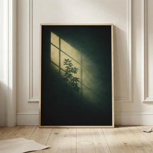 Può includere: Una stampa artistica incorniciata con una scena cupa e suggestiva. Una silhouette di pianta è illuminata da un raggio di sole proveniente da una finestra, creando un contrasto di luce e ombra. La cornice è in legno chiaro.