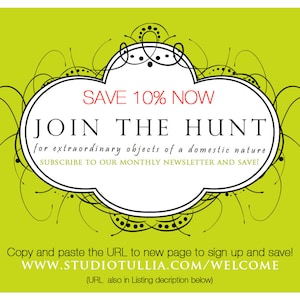 Puede incluir: Un gr&aacute;fico verde y blanco con un borde decorativo y el texto "SAVE 10% NOW JOIN THE HUNT for extraordinary objects of a domestic nature, SUBSCRIBE TO OUR MONTHLY NEWSLETTER AND SAVE!"  &iexcl;Copie y pegue la URL en la nueva p&aacute;gina para registrarse y ahorrar! WWW.STUDIOTULLIA.COM/WELCOME (URL tambi&eacute;n en la descripci&oacute;n del listado a continuaci&oacute;n)"