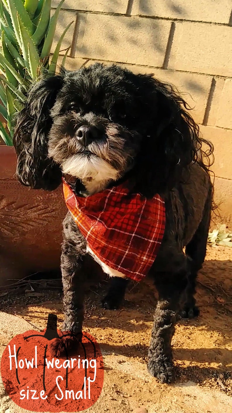 Fall Plaid Autumn leaves reversible over the collar Dog Bandana
