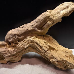 Lichtgekleurd kunstmatig drijfhout: 38 cm (14,96)