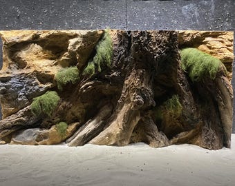 E5 -  Submerged Tree Trunk with moss - 3D Aquarium Background for 75 & 90 Gallon Tanks