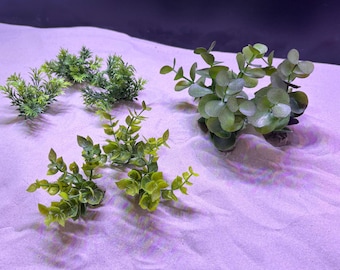 rasendünger für kirschlorbeer ProviPlant Kirschlorbeer-Dünger: Für alle Lorbeerhecken und Sträucher main image 0