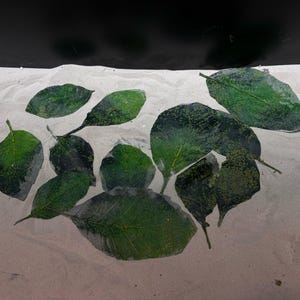 Green Artificial Leaves - Set of 12 Pcs
