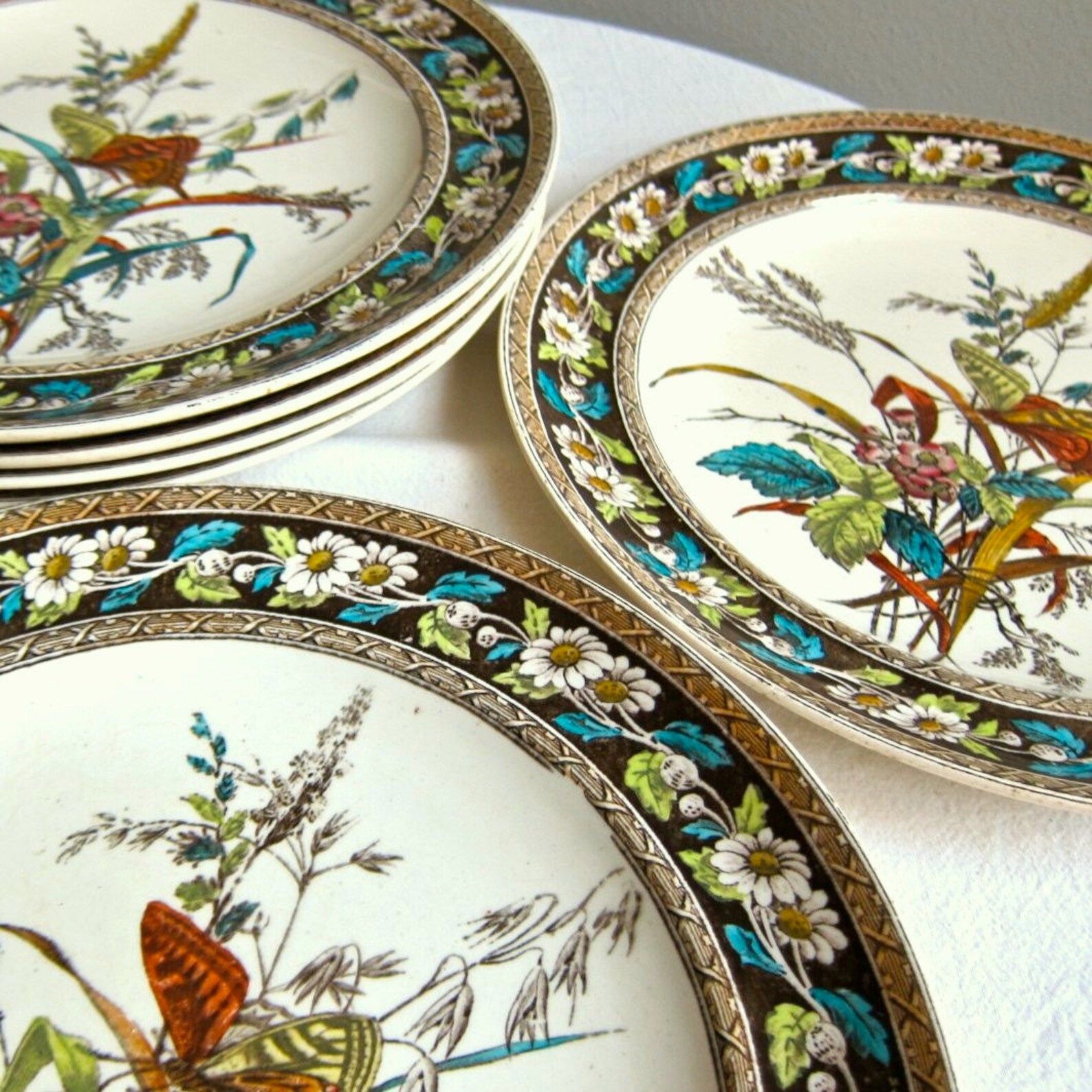 Copeland Spode Butterfly and Daisy Dinner Plates Set of Six Etsy