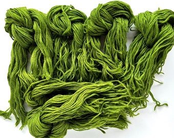Paternayan Persian Wool Yarn - Green - no number  12 ounces  (A)