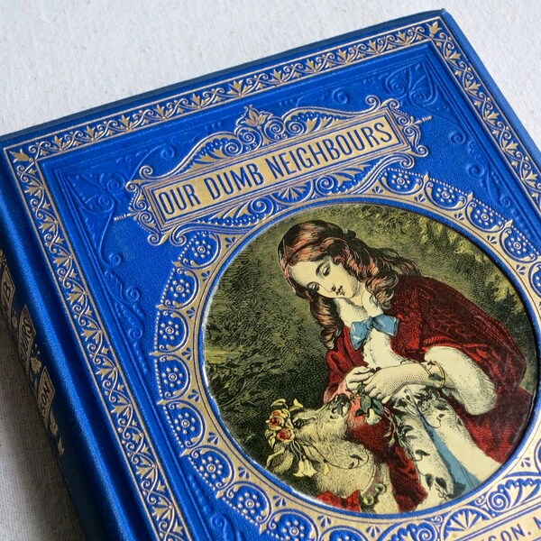 Our Dumb Neighbors 1870 - Antique Book - Decorative Victorian Binding 19th Century Illustrated New York Rev Thomas Jackson