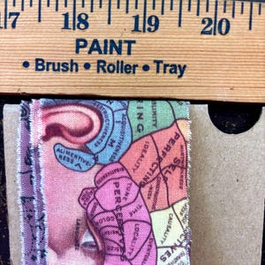 Hand torn Phrenology Fabric Snippets Junk Journal Strip Oddity Scrapbooking Snippets Vintage Anatomy fabric scraps, Psychology strip snippet