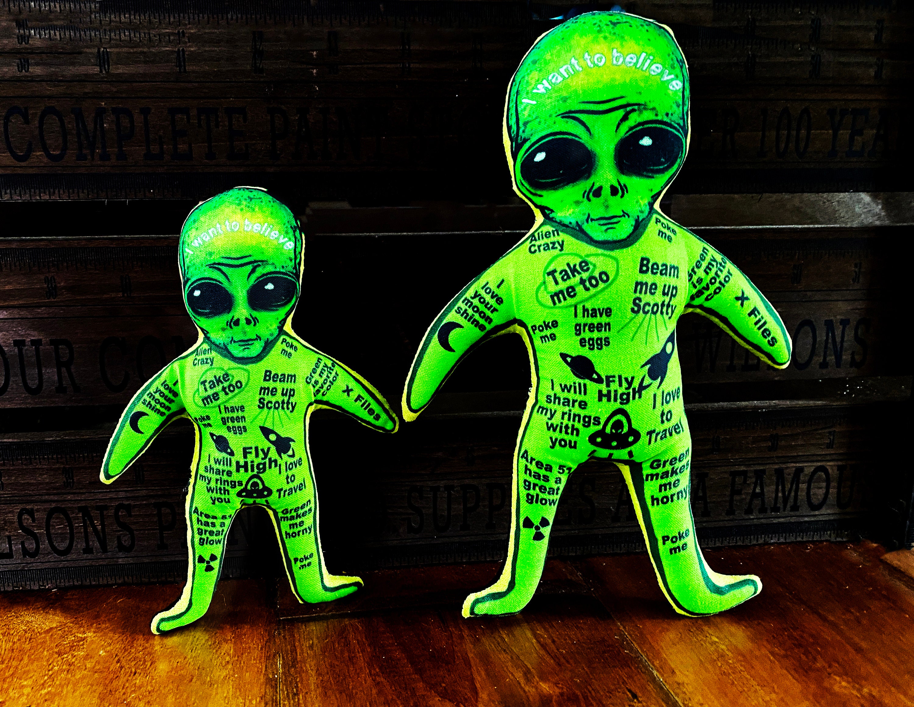 Original Art Handmade ALIEN Voodoo Doll Poppet PIN head doll Area 51 ...