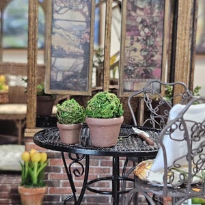 May include: Miniature garden scene with a black wrought iron table and chairs. Two small potted plants with green moss balls sit on the table. A pot of yellow tulips and two framed pictures complete the scene.