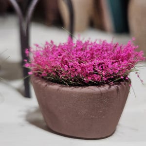 May include: A small, brown, ceramic pot filled with vibrant pink flowers. The pot has a rounded shape and sits on a white surface. The flowers are a bright fuchsia color, creating a striking contrast with the pot. The image is well-lit, highlighting the details of the plant.