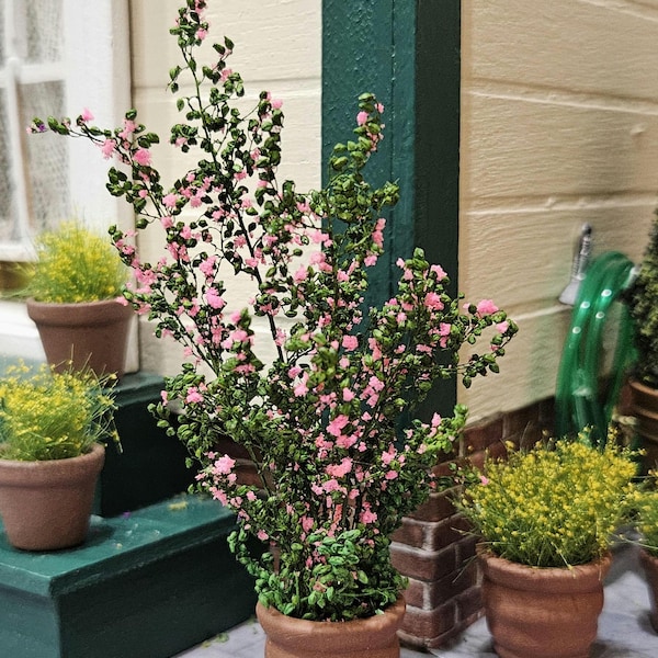 Arbuste rose vif pour maison de poupée miniature en pot - Grand arbuste ou plante courte