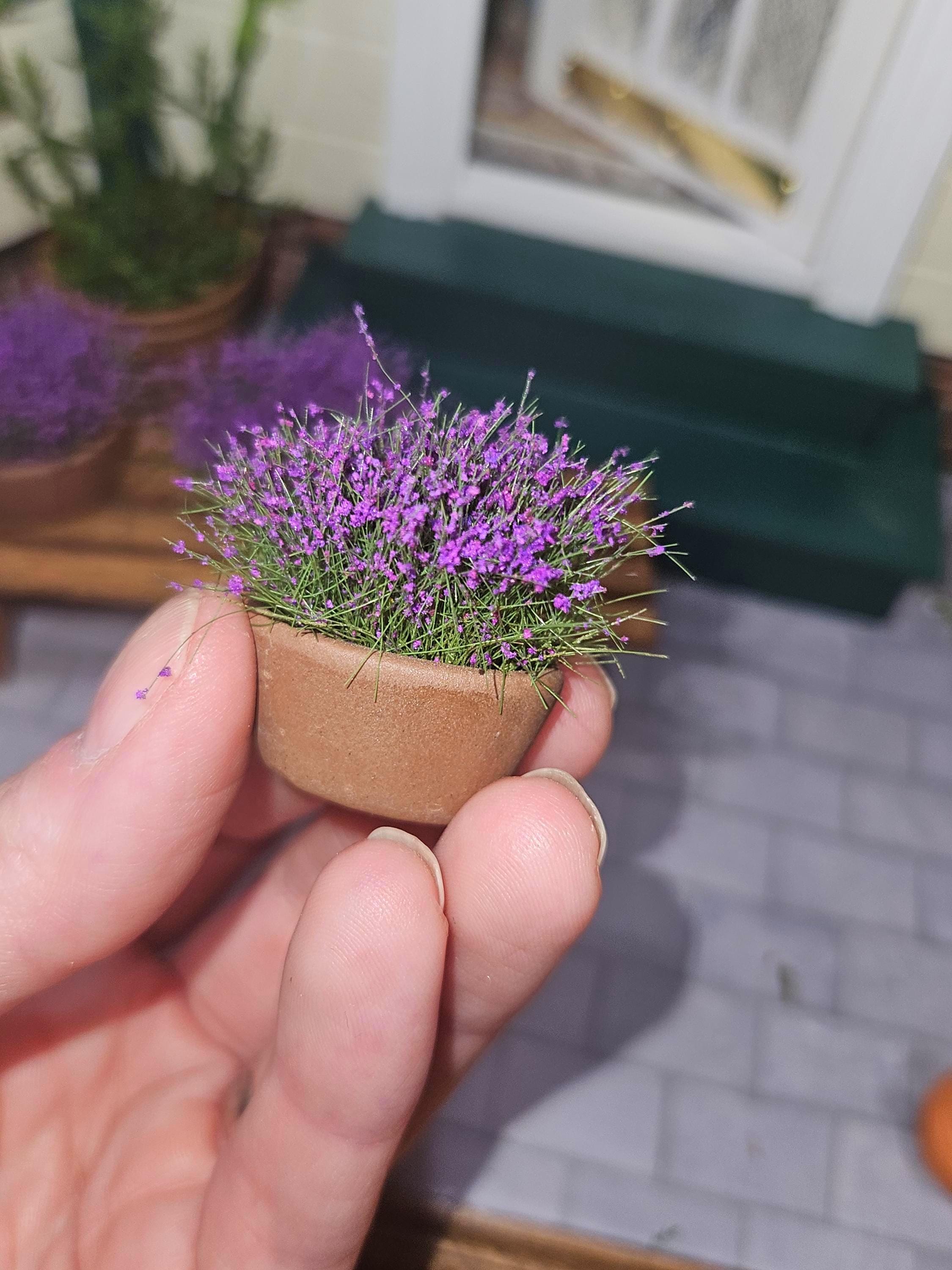 1/12 Scale Miniature Lavender Plant - Etsy