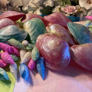 May include: A collection of iridescent seashells in shades of pink, green, and blue. The shells are arranged on a pink surface. There are also a variety of smaller seashells in various colors.