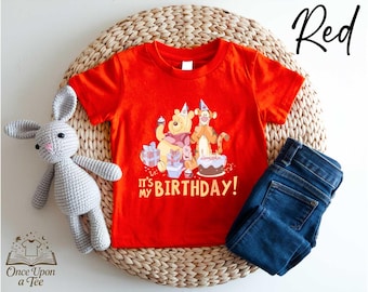 It’s My Birthday Shirt, Winnie the Pooh and Friedens Sweatshirt, Disney Birthday T-shirt, Pooh Bear Tee, Disney Shirt, Birthday Gift Shirt
