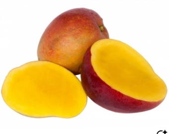 Irwin Mango Tree Grafted • 2.5–3 ft Tall • Easy to Grow • Tropical Fruit Plant