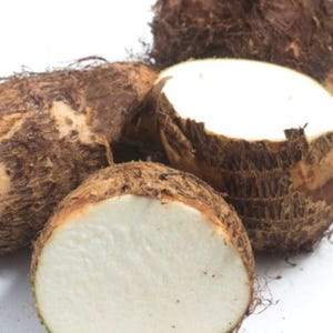 White Yautía (Taro) - one Plants  2 Feet Tall and one seed - Puerto Rican Heirloom - Easy to Grow Tropical Plant - Free Shipping & Priority