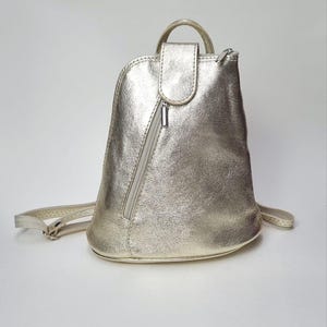 converse all star mini backpack GO LO Miniature Backpack