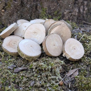 Bag of Mini Wood Rounds