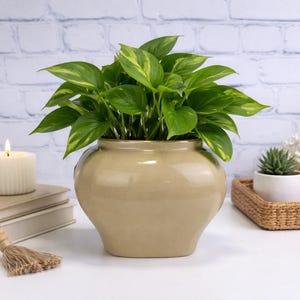 Vintage Royal Haeger Cream Planter: Mid-Century Modern Beige Pottery