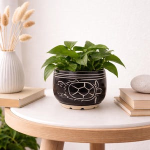 Goldenberg Pottery Turtle Planter: Black & White Ceramic with Royal Blue Interior