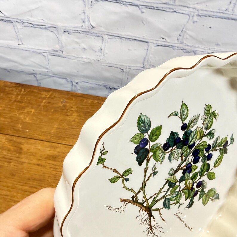 May include: A white ceramic dish with a scalloped edge and a thin brown rim. The interior features a botanical illustration of a blueberry plant with green leaves, dark blue berries, and visible roots, accompanied by the text Vaccinium myrtillus.