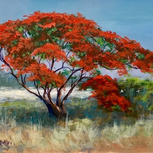 Royal Poinciana Ruby Red Landscape Art Print