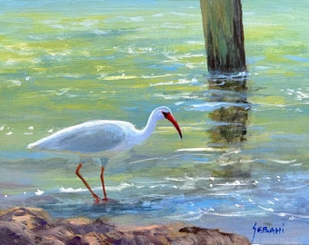 Ibis in Shallow Water Coastal Wildlife Art Print